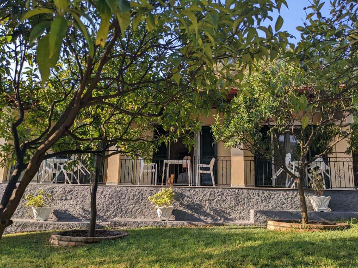 Villa Eleni - Studios Лиападес Екстериор снимка